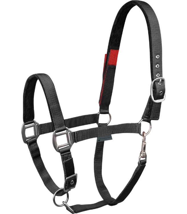 Kantar-WALDHAUSEN-Clever-Open-black-01