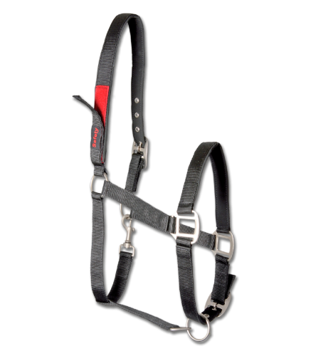 Kantar-WALDHAUSEN-Clever-Open-black-02