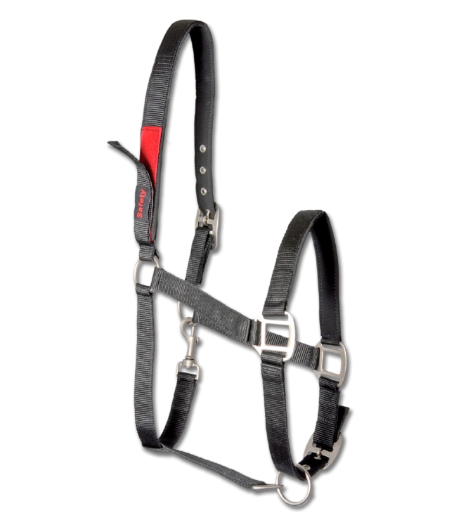 Kantar-WALDHAUSEN-Clever-Open-black-02