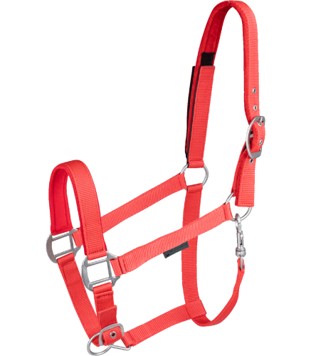 Kantar-WALDHAUSEN-Clever-Open-red-01