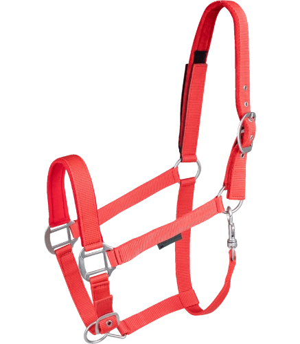 Kantar-WALDHAUSEN-Clever-Open-red-01