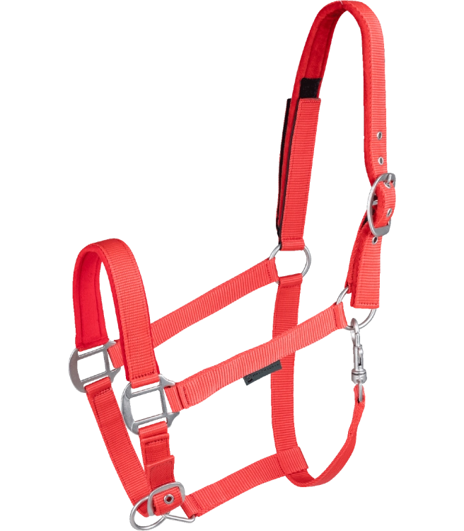 Kantar-WALDHAUSEN-Clever-Open-red-01