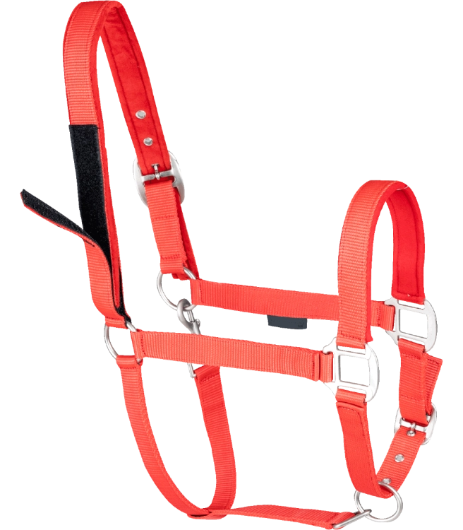 Kantar-WALDHAUSEN-Clever-Open-red-03