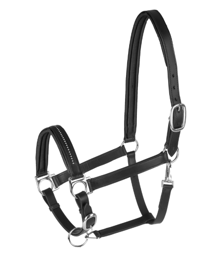 Kantar-skórzany-STAR-Diamond-black/silver-01