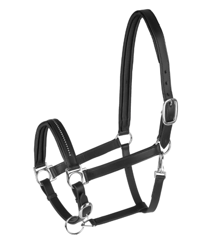 Kantar-skórzany-STAR-Diamond-black/silver-01