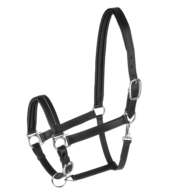 Kantar-skórzany-STAR-Diamond-black/silver-01