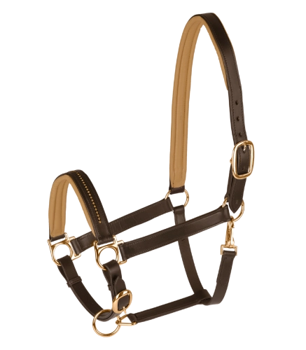 Kantar-skórzany-STAR-Diamond-brown-gold-01