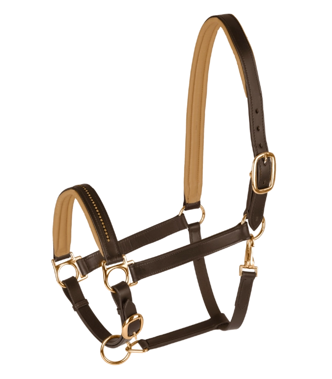 Kantar-skórzany-STAR-Diamond-brown-gold-01