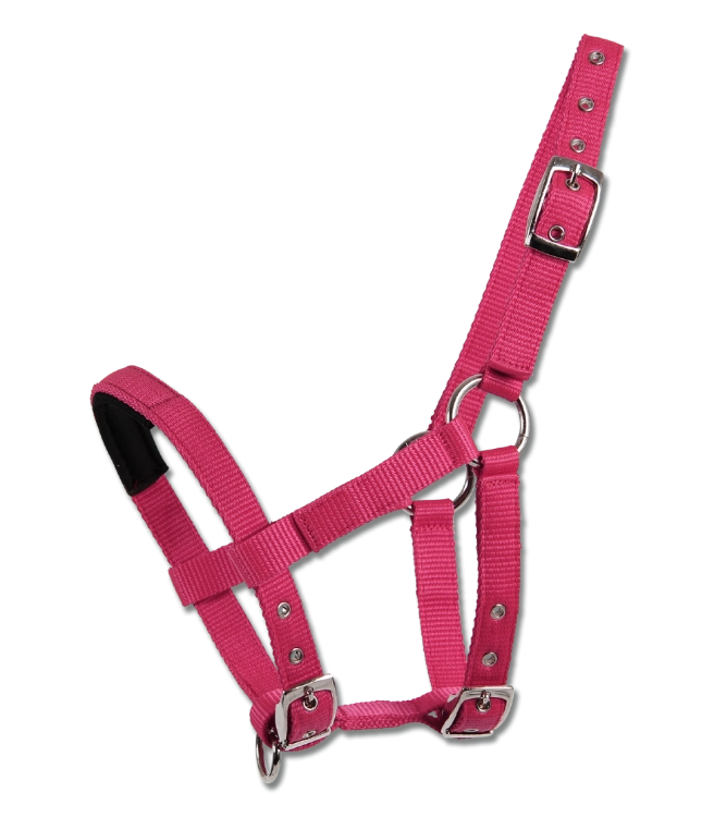 Kantar-dla-kucyka-WALDHAUSEN-Mini-Shetty-azalea-01