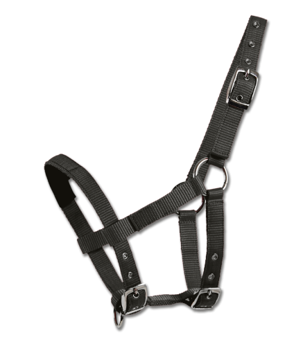 Kantar-dla-kucyka-WALDHAUSEN-Mini-Shetty-black-01