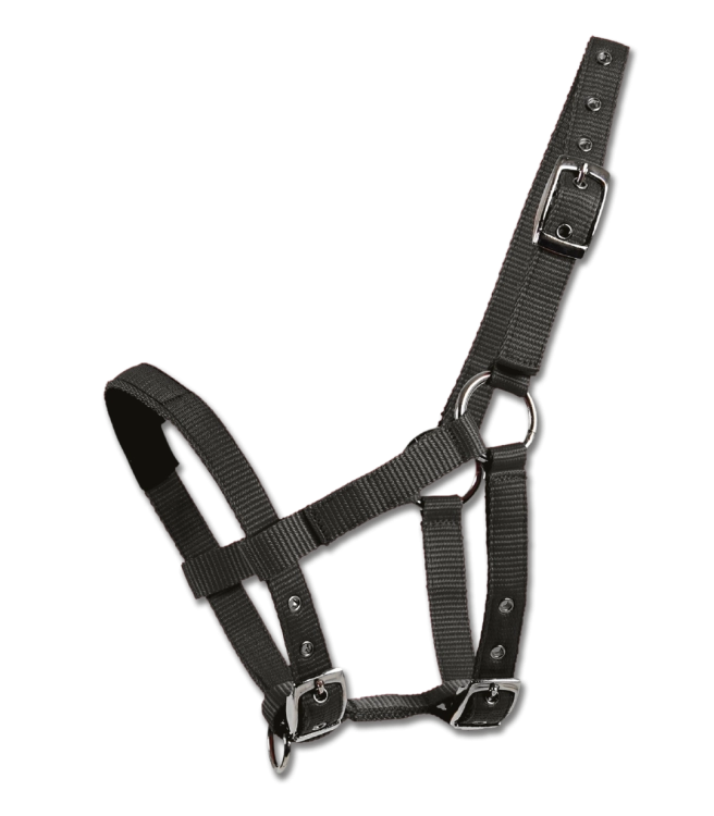 Kantar-dla-kucyka-WALDHAUSEN-Mini-Shetty-black-01