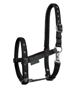 Kantar dla źrebiąt WALDHAUSEN "Comfort" black