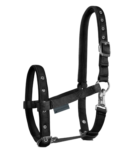 Kantar-dla-zrebiat-WALDHAUSEN-Comfort-black-01