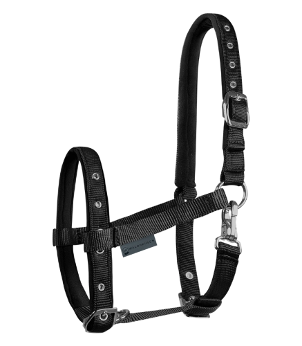 Kantar-dla-zrebiat-WALDHAUSEN-Comfort-black-01