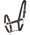 Kantar-WALDHAUSEN-Little-Horse-black-01