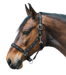 Kantar-WALDHAUSEN-Little-Horse-black-03