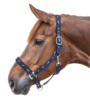 Kantar-WALDHAUSEN-Little-Horse-navy-03
