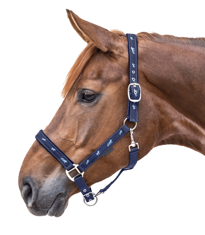 Kantar-WALDHAUSEN-Little-Horse-navy-03