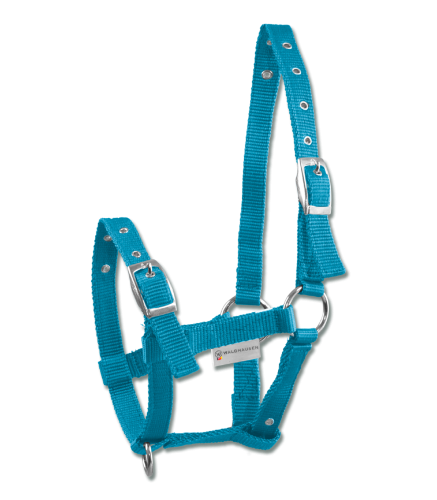 Kantar-dla-zrebiat-WALDHAUSEN-Triple-azure-blue-01