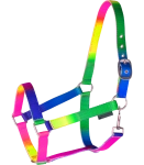 Kantar WALDHAUSEN "Rainbow Coloured" 