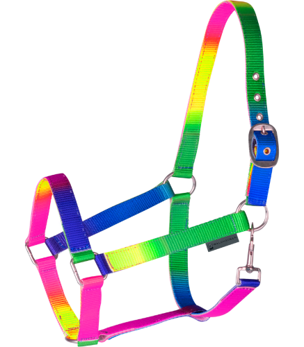 Kantar-WALDHAUSEN-Rainbow-Coloured-01