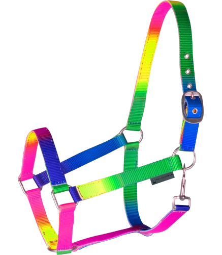 Kantar-WALDHAUSEN-Rainbow-Coloured-01