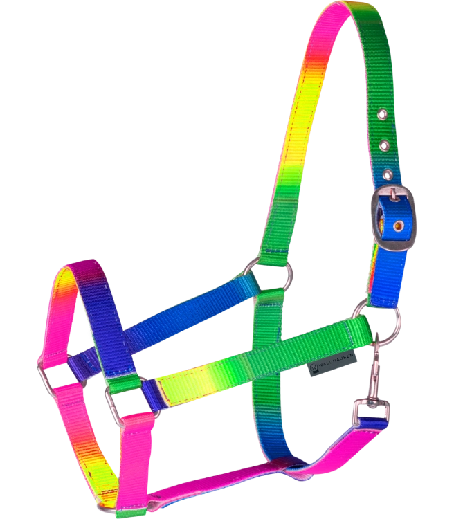 Kantar-WALDHAUSEN-Rainbow-Coloured-01
