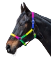 Kantar-WALDHAUSEN-Rainbow-Coloured-02
