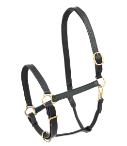 Kantar skórzany STAR "Leather Halter Robust"