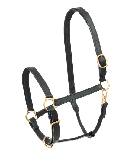 Kantar-skorzany-STAR-Leather-Halter-Robus-01