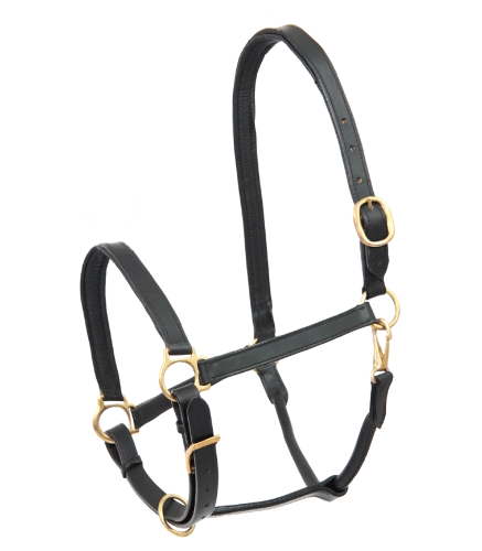 Kantar-skorzany-STAR-Leather-Halter-Robus-01