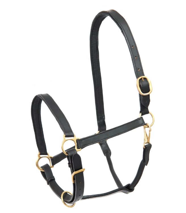 Kantar-skorzany-STAR-Leather-Halter-Robus-01