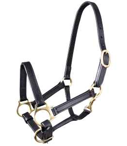 Kantar skórzany dla źrebiąt STAR "Leather Halter for Foals"