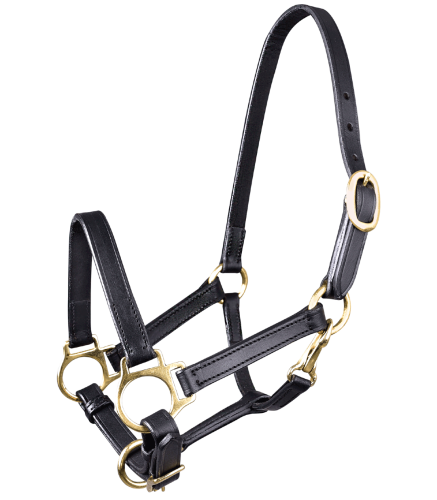 Kantar-skorzany-dla-zrebiat-STAR-Leather-Halter-for-Foals-01