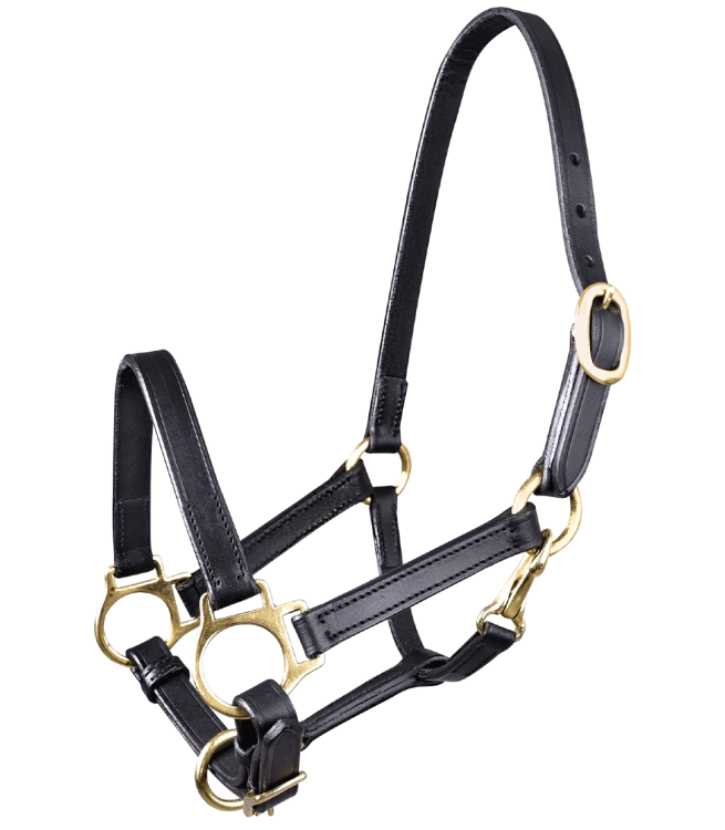 Kantar-skorzany-dla-zrebiat-STAR-Leather-Halter-for-Foals-01
