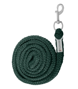 Uwiąz WALDHAUSEN "Economic Snap Hook" fir green