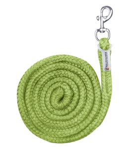 Uwiąz WALDHAUSEN "Economic Snap Hook" lime green 