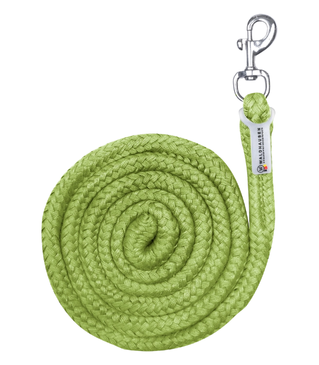 Uwiaz-WALDHAUSEN-Economic-Snap-Hook-lime-green-01