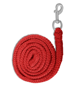 Uwiąz WALDHAUSEN "Economic Snap Hook" red