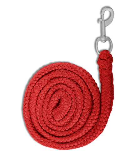 Uwiaz-WALDHAUSEN-Economic-Snap-Hook-red-01