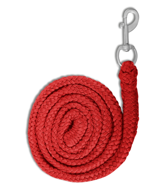 Uwiaz-WALDHAUSEN-Economic-Snap-Hook-red-01