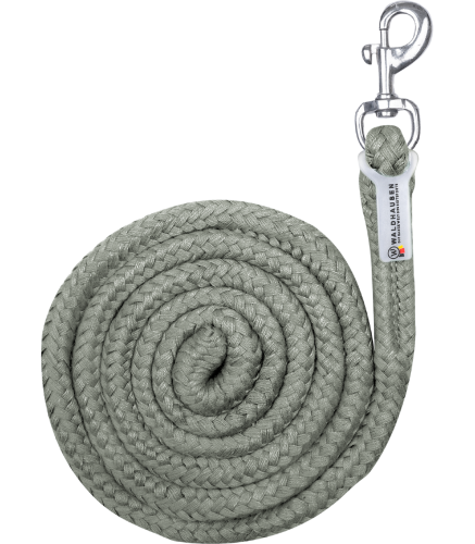 Uwiaz-WALDHAUSEN-Economic-Snap-Hook-sage-01