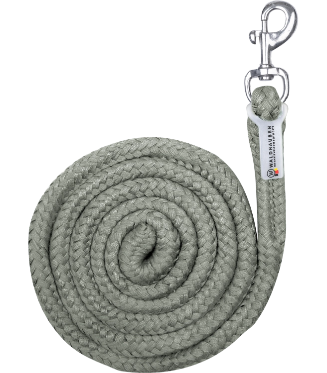 Uwiaz-WALDHAUSEN-Economic-Snap-Hook-sage-01