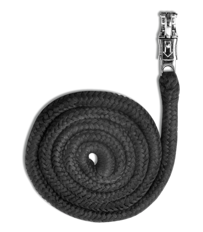Uwiaz-WALDHAUSEN-Economic-Panic-Hook-black-01
