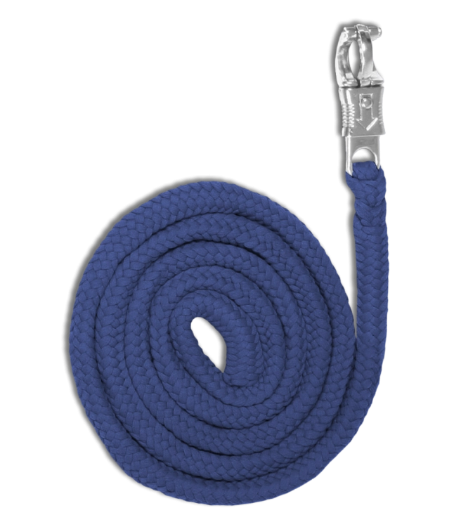 Uwiaz-WALDHAUSEN-Economic-Panic-Hook-dark-blue-01
