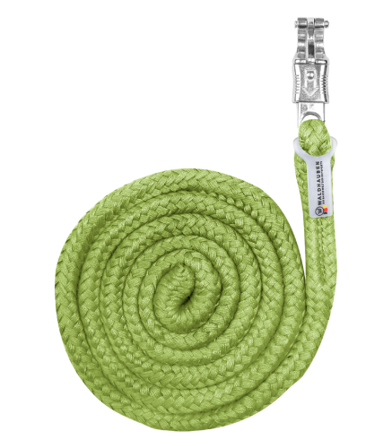 Uwiaz-WALDHAUSEN-Economic-Panic-Hook-lime-green-01