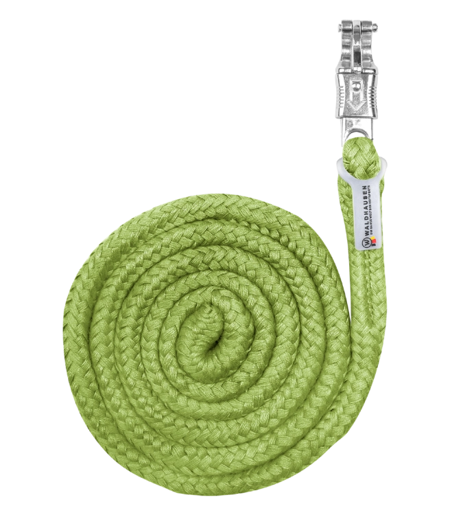 Uwiaz-WALDHAUSEN-Economic-Panic-Hook-lime-green-01