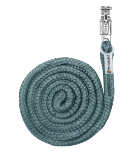Uwiąz WALDHAUSEN "Economic Panic Hook" pine green