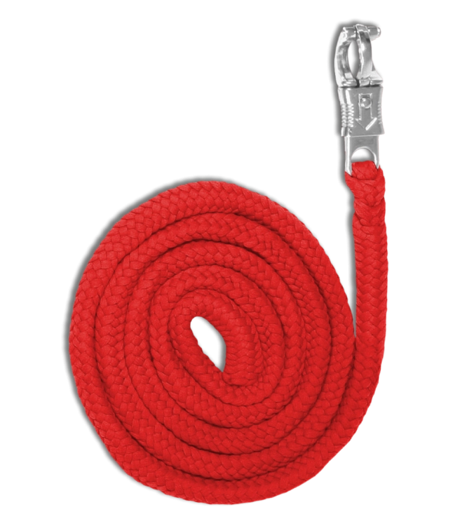 Uwiaz-WALDHAUSEN-Economic-Panic-Hook-red-01