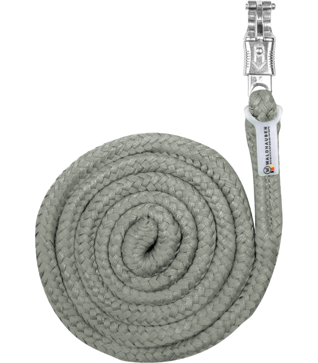 Uwiaz-WALDHAUSEN-Economic-Panic-Hook-sage-01